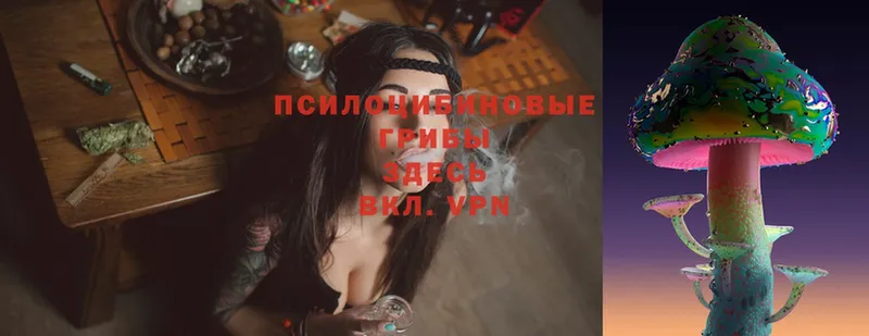 Псилоцибиновые грибы GOLDEN TEACHER  Камызяк 